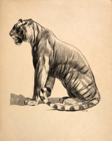 Paul JOUVE (1878-1973) - Profil of Tiger sitting, 1925