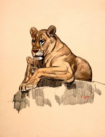 Paul JOUVE (1878-1973) - Lionne et son petit, 1925
