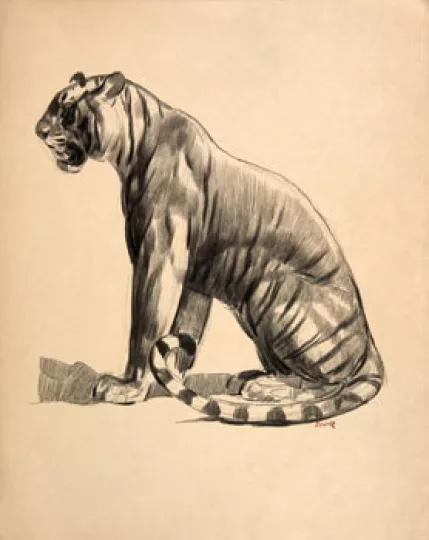 Paul JOUVE (1878-1973) - Tigre assis de profil, 1925