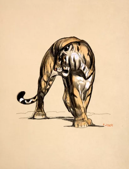 Paul JOUVE (1878-1973) - Tigre de face, 1925