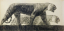 Paul JOUVE (1878-1973) - Deux tigres marchant, vers 1925.