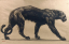 Paul JOUVE (1878-1973) - Panthère noire marchant, 1910.