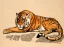 Paul JOUVE (1878-1973) - Tigre couché sur un rocher, vers 1925