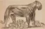 Vente par "Ader SVV" du 08/12/2023 - Panthère noire et ses petits, vers 1925. (08/12/2023) (lot n°40)