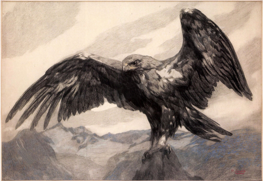 Paul JOUVE (1878-1973) - Aigle prenant son envol.