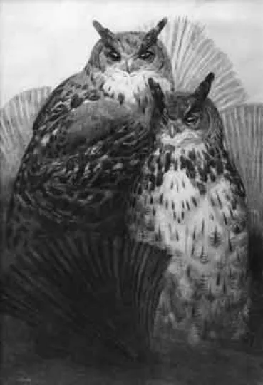 Paul JOUVE (1878-1973) - Couple de grands Ducs, vers 1930