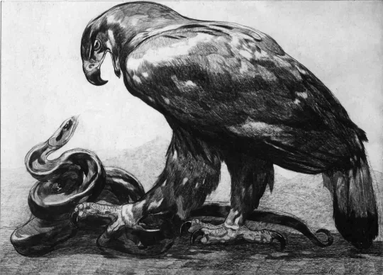 Paul JOUVE (1878-1973) - Combat d'aigle et de serpent, 1914.