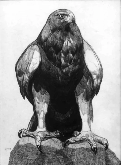 Paul JOUVE (1878-1973) - Aigle sur un rocher (Dessins)
