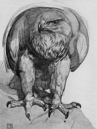 Paul JOUVE (1878-1973) - Aigle