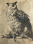 Paul JOUVE (1878-1973) - Grand duc avec sa proie.