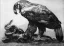 Paul JOUVE (1878-1973) - Combat d'aigle et de serpent, 1914.