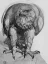 Paul JOUVE (1878-1973) - Aigle