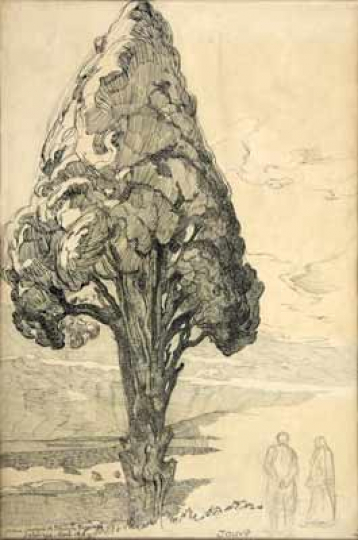 Paul JOUVE (1878-1973) - Cypress tree, Salonika, 1916