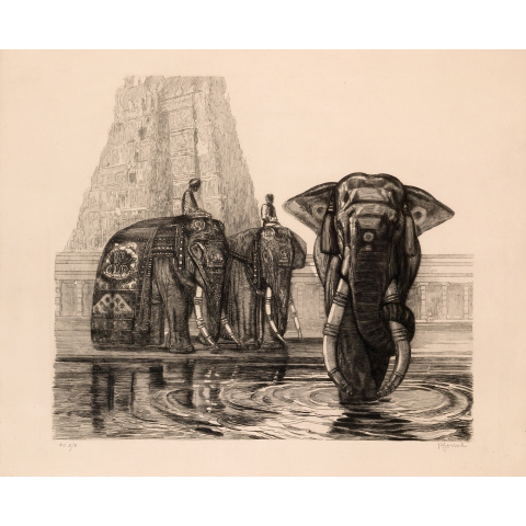 Éléphants du temple de Madura. 1930.