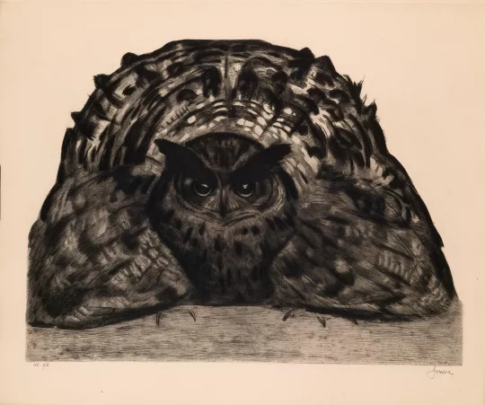 Paul JOUVE (1878-1973) - Grand duc ebouriffé. 1930.