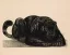 Paul JOUVE (1878-1973) - Panthère noire couchée de face. 1930.
