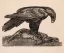 Paul JOUVE (1878-1973) - Aigle enserrant un lièvre. 1930.