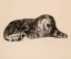 Paul JOUVE (1878-1973) - Panthère couchée. 1930.
