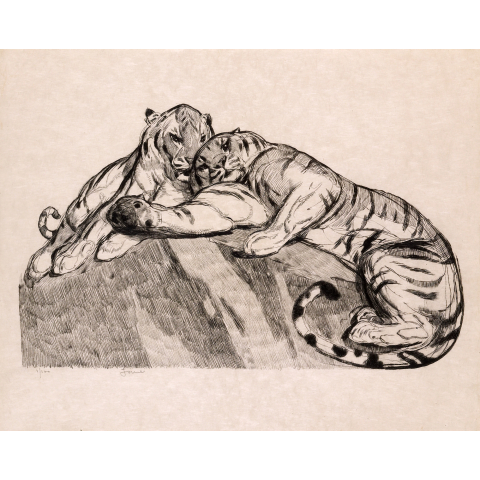 Deux tigres au repos. 1931.