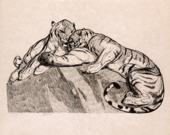 Paul JOUVE (1878-1973) - Deux tigres au repos. 1931.