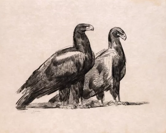 Paul JOUVE (1878-1973) - Deux aigles de profil. 1931.