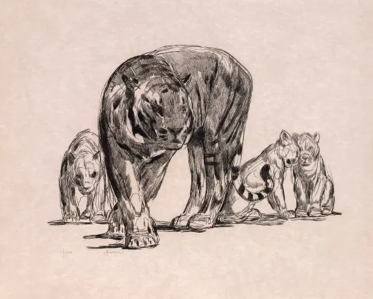 Paul JOUVE (1878-1973) - Tigresse et ses petits. 1931.