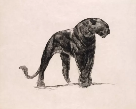 Paul JOUVE (1878-1973) - Panthère noire. 1931.