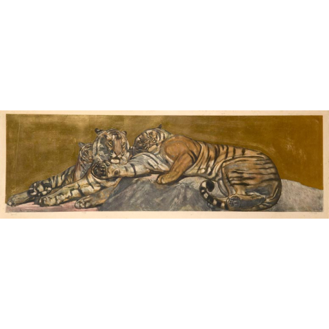 Tigers resting, 1932