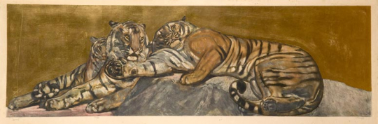 Paul JOUVE (1878-1973) - Tigers resting, 1932