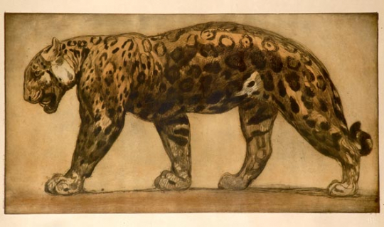 Paul JOUVE (1878-1973) - Panther walking 1914