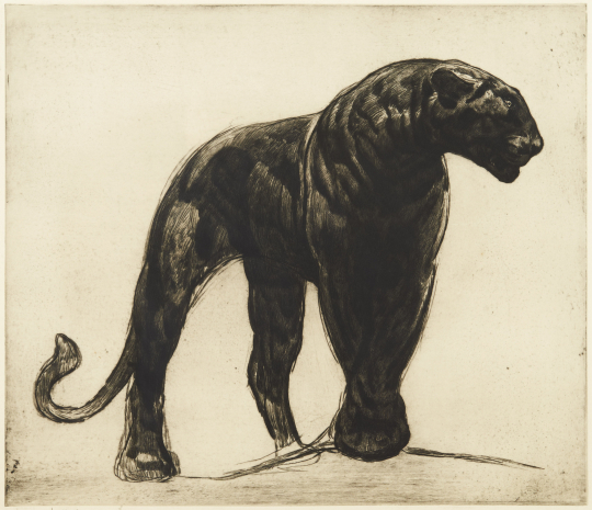 Paul JOUVE (1878-1973) - Panthère noire. C 1920.