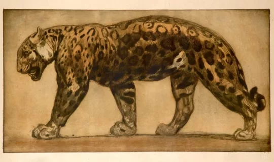 Paul JOUVE (1878-1973) - Panthère marchant. 1914.