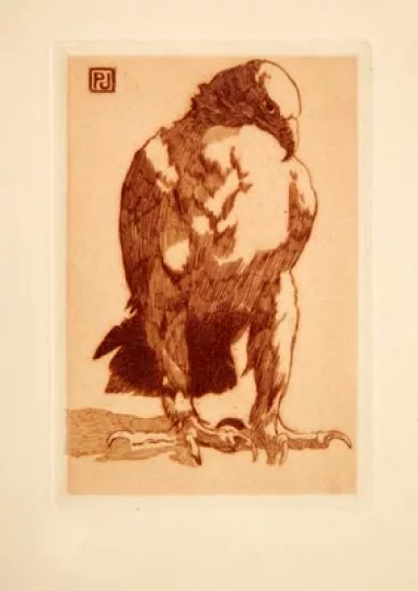 Paul JOUVE (1878-1973) - Aigle. (Gravures)