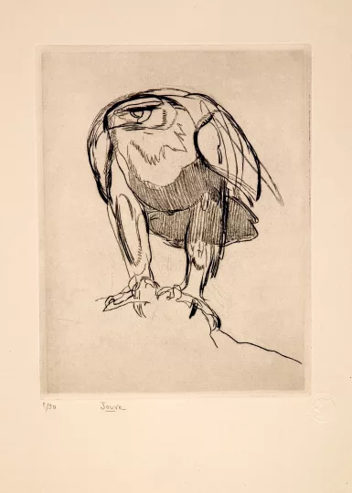 Paul JOUVE (1878-1973) - Aigle de face. 1926.