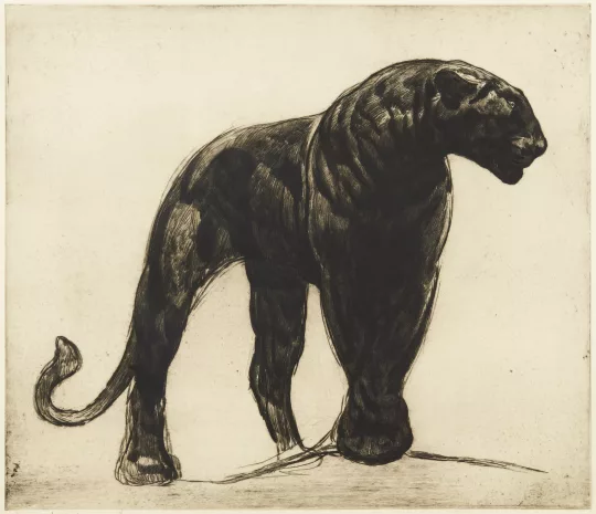 Paul JOUVE (1878-1973) - Panthère noire. C 1920.