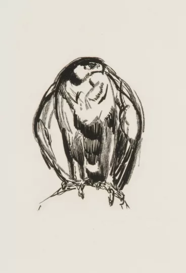 Paul JOUVE (1878-1973) - Aigle de face, 1929.