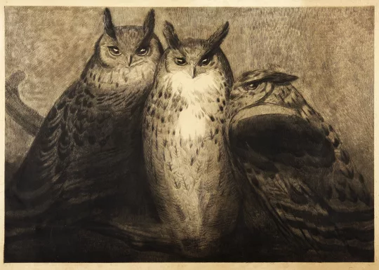 Paul JOUVE (1878-1973) - Trois grands Ducs.