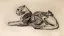 Paul JOUVE (1878-1973) - Lioness and her cub.  C1927