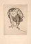 Paul JOUVE (1878-1973) - Aigle de face. 1926.