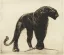Paul JOUVE (1878-1973) - Panthère noire. C 1920.