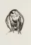 Paul JOUVE (1878-1973) - Aigle de face, 1929.