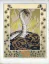 Paul JOUVE (1878-1973) - Le livre de la Jungle, de Rudyard Kipling, 1919.