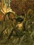 Paul JOUVE (1878-1973) - La Chasse de Kaa, de Rudyard Kipling, 1930.