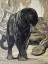Paul JOUVE (1878-1973) - La Chasse de Kaa, de Rudyard Kipling, 1930.