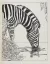 Paul JOUVE (1878-1973) - Afrique Equatoriale Française, de René Marran, 1937.