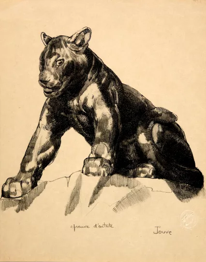 Paul JOUVE (1878-1973) - Jeune panthère assise
