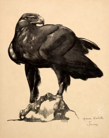 Paul JOUVE (1878-1973) - Aigle sur un rocher (Lithographies)