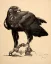 Paul JOUVE (1878-1973) - Aigle sur un rocher (Lithographies)