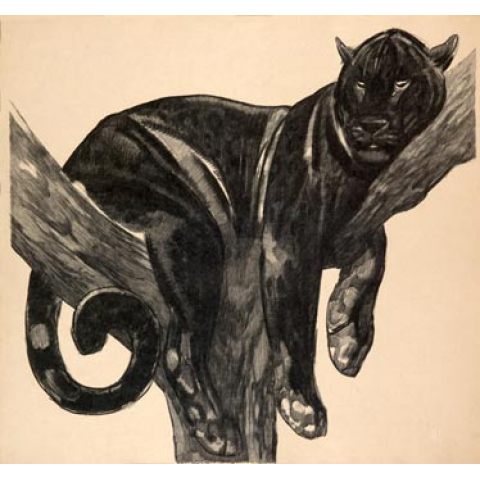 Black panther on a branch 1927