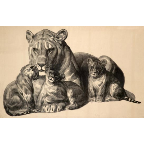 Lionne et ses lionceaux. 1930.